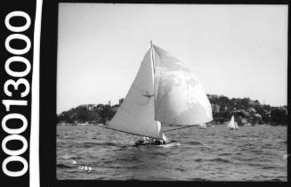 Skiff with bird emblem on the mainsail, Sydney Harbour