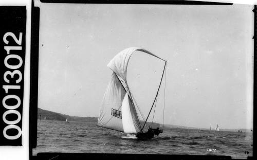 Yacht with the Australian Coat of Arms displayed on the mainsail, Sydney Harbour