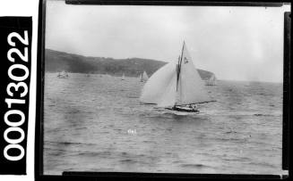 Amateur class yacht, A46, sailing on Sydney Harbour