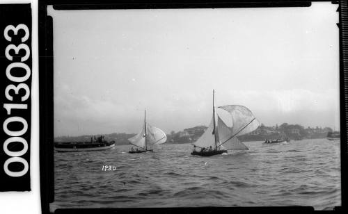 Yachts and various other vessels on Sydney Harbour