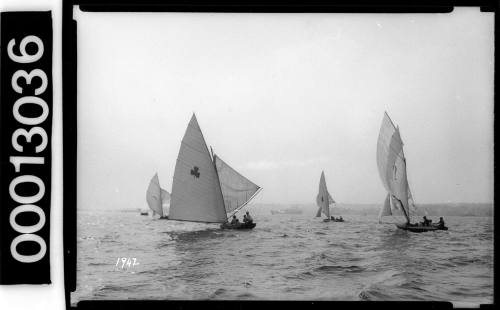 Yachts under sail on Sydney Harbour