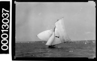 Yacht under sail on Sydney Harbour with an arrow emblem displayed on the mainsail