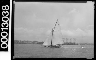 Yacht under sail on Sydney Harbour with the text 'R 5' displayed on the mainsail