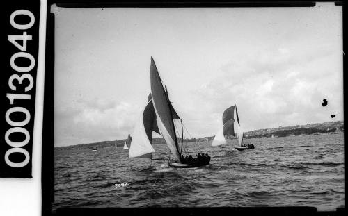 18 footer skiffs racing on Sydney Harbour