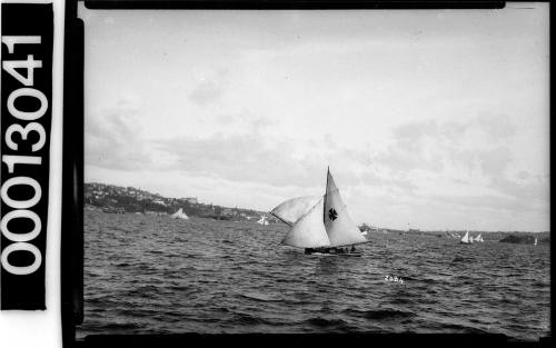 Yacht under sail on Sydney Harbour with a Maltese Cross emblem on the mainsail