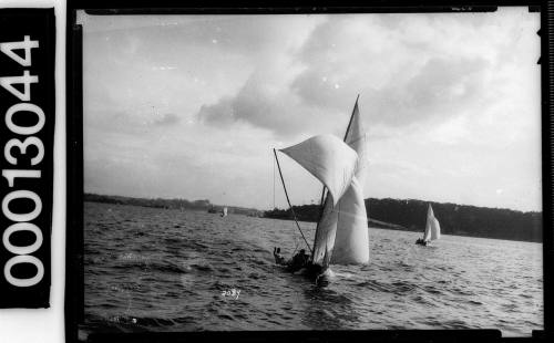 Yachts under sail on Sydney Harbour