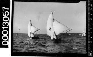 Yachts under sail on Sydney Harbour