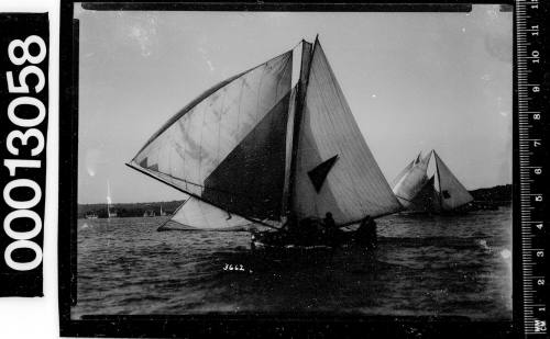 Yachts under sail on Sydney Harbour