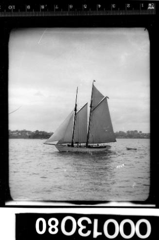 Sailing vessel towing dinghy, Sydney Harbour