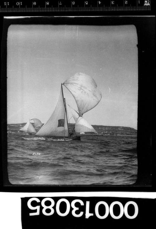 Yachts under sail near North Head, Sydney Harbour