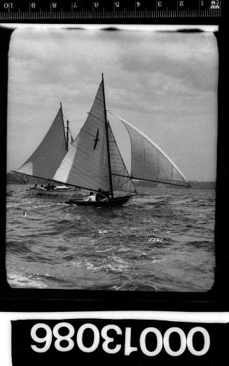 Two yachts under sail on Sydney Harbour