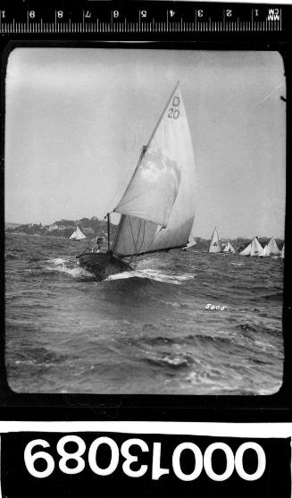 Cadet dinghy D20 under sail on Sydney Harbour