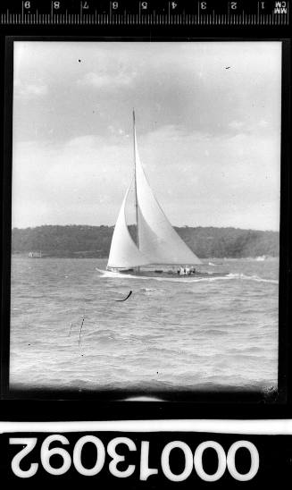 Single masted yacht under sail on Sydney Harbour