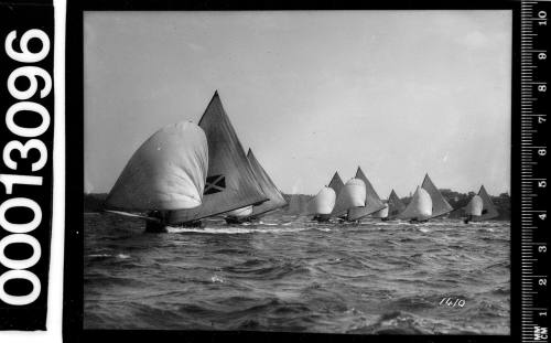 Yachts racing on Sydney Harbour