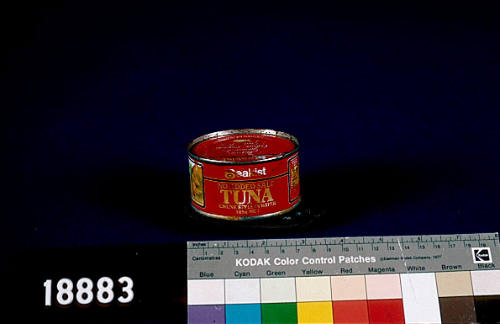 Empty can of tuna from BLACKMORES FIRST LADY