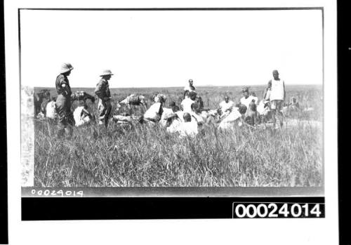 On a grassland in Africa