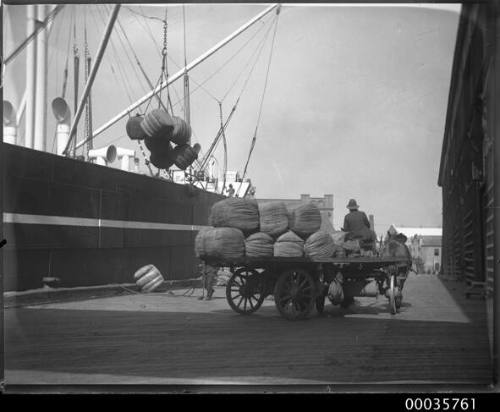 View of SS ALLER loading wool with horse drawn cart.