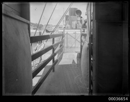 On board SS MONOWAI showing Pharlap's accommodation for journey to New Zealand.