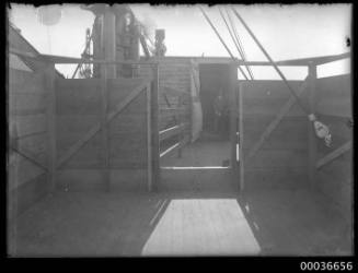 Pharlap's quarters on deck of SS MONOWAI.