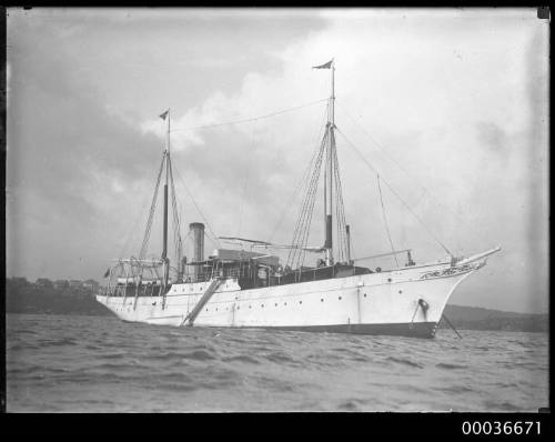 Unidentified steam yacht anchored harbour.