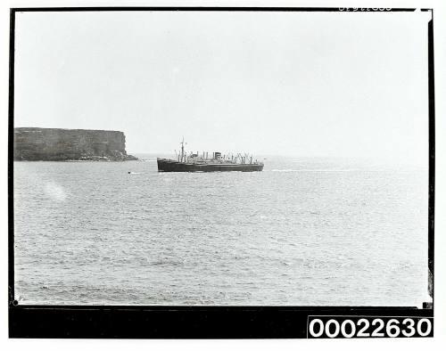 Blue Star ship entering Sydney Heads