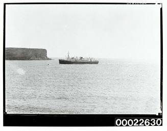 Blue Star ship entering Sydney Heads