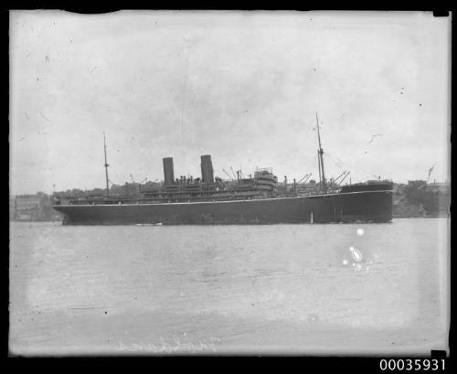 Passenger liner Sydney Harbour