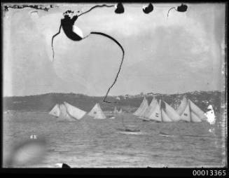 18-footers off Vaucluse