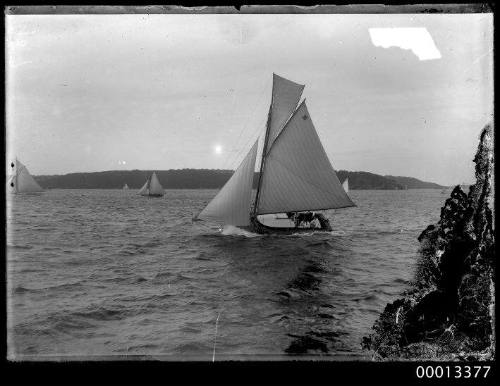 Gaff-rigged small yacht sails on Sydney Harbour