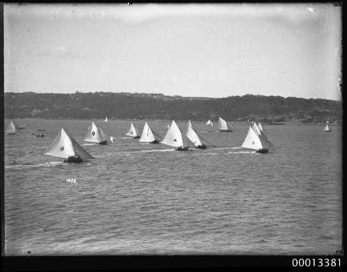 18-foot skiffs racing on Sydney Harbour