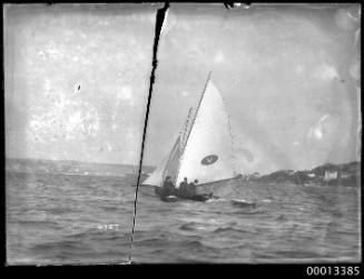 18-foot skiff VANITY sailing on Sydney Harbour