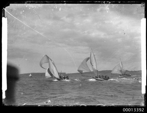 Three 18-footers sailing on Sydney Harbour