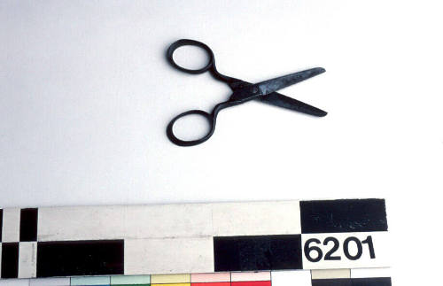 Scissors brought to Australia by Estonian migrant Mall Karp
