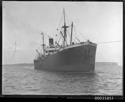 View of NEWTOWN ELM cargo ship under tow in harbour.