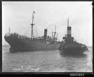 View of NEWTOWN ELM with tugboat in harbour.