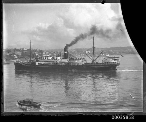 View of MONTORO Burns Philp passenger vessel underway in harbour.