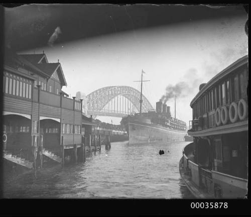 View of STRATHNAVER berthing at west Circular Quay