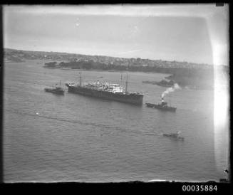 Unidentified passenger liner underway in Sydney Harbour, New South Wales.