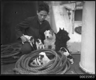 Seaman on YAHIKO MARU with two terriers and puppies