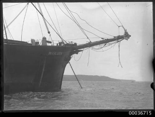 View of MUSCOOTA showing bowsprit section.