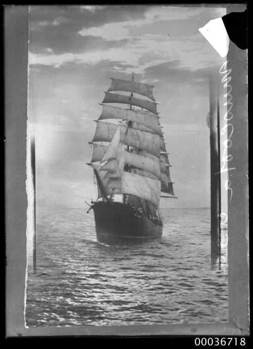 Bow on view of MUSCOOTA at sea.