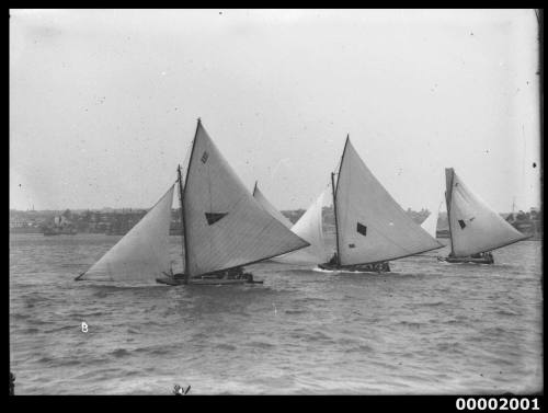 Three 18-footers sailing in Sydney Harbour