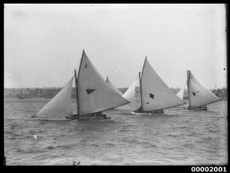 Three 18-footers sailing in Sydney Harbour