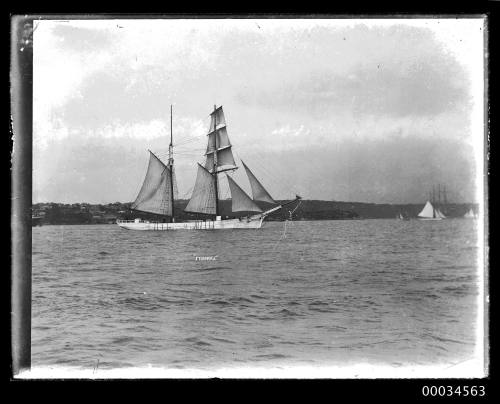 View of FEDERAL two mast schooner.