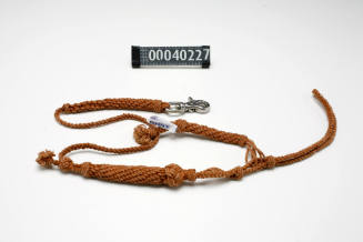 Lanyard