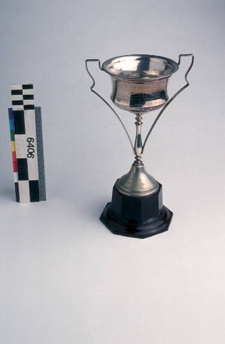 The A Hayden Trophy won by FLYING FISH 1940-1941 season