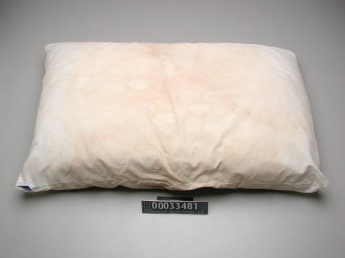 Pillow from BLACKMORES FIRST LADY