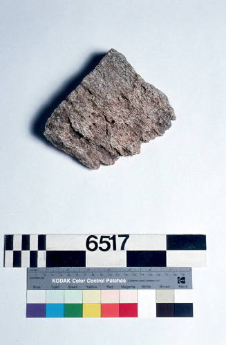 Unidentified whalebone fragment