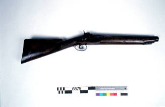 Harpoon gun