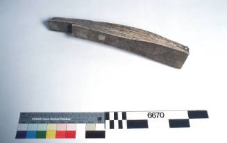 Whalebone sectionalised to demonstrate texture and other characteristics, TILBROOK 82
